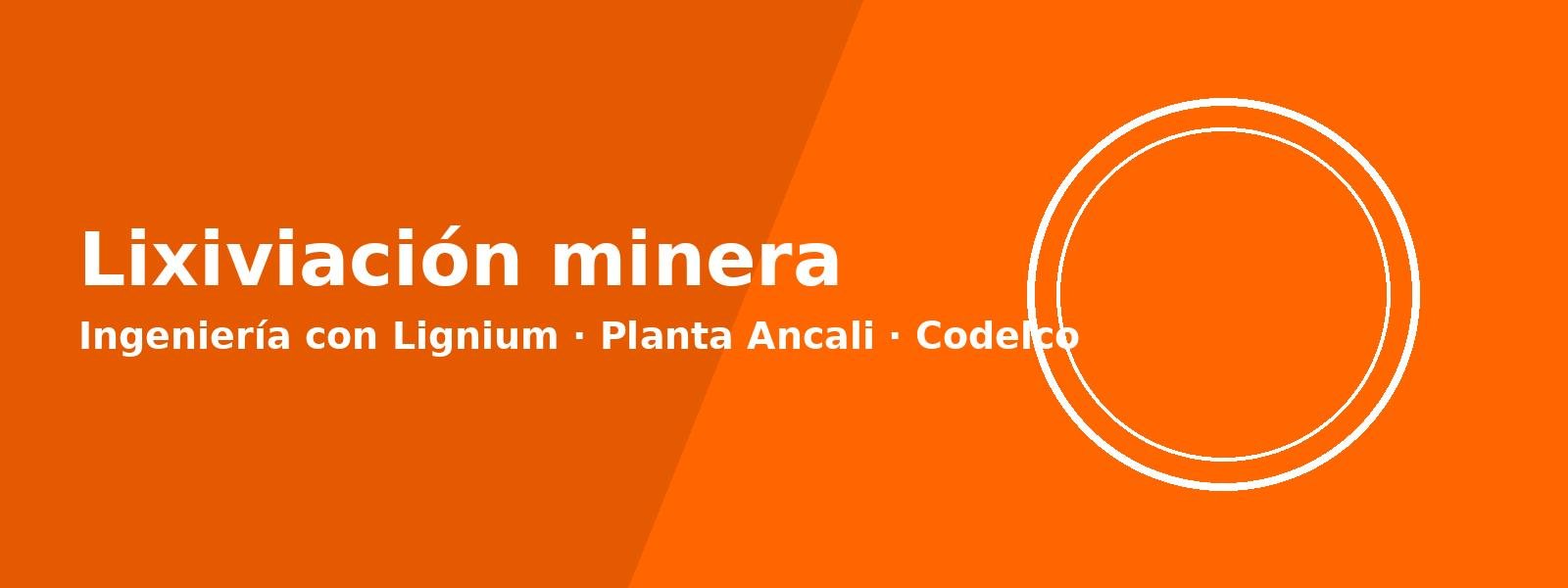 Lixiviación y minería
