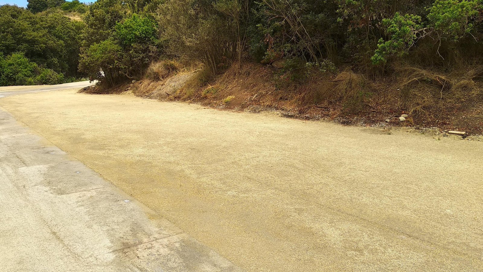 Camino TerraSystems en Parque Tricao